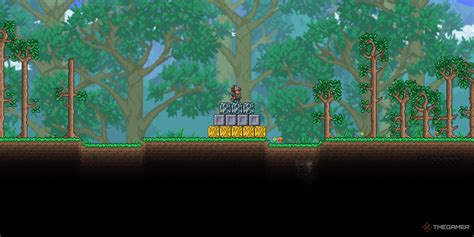 terraria best biome for crates.